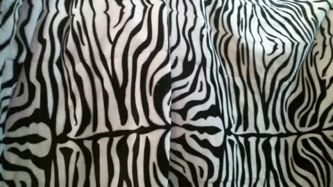 Snapshot of bustinfree chatting on February 28, 3:37 pm bustinfree online show from February 28, 3:37 pm