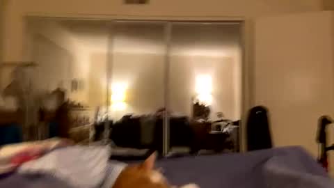 busty_2008 online show from February 24, 3:04 am