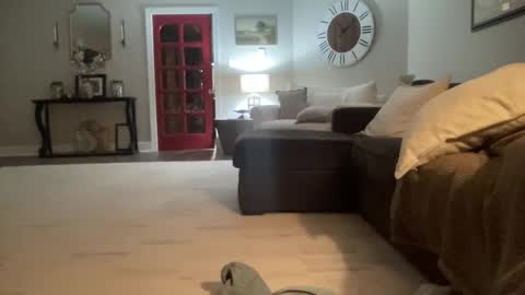 Snapshot of bwc2465 chatting on February 15, 4:03 am bwc2465 online show from February 15, 4:03 am