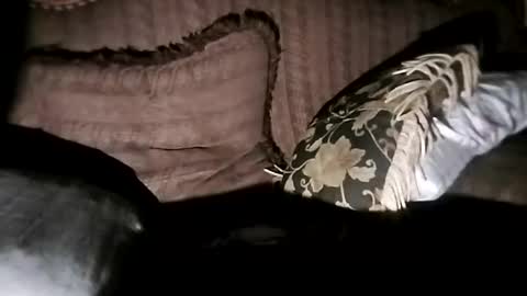 Snapshot of bxpapi69 chatting on November 7, 6:46 am bxpapi69 online show from November 7, 6:46 am