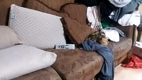 Snapshot of bxpapi69 chatting on November 13, 1:26 am bxpapi69 online show from November 13, 1:26 am