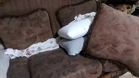 Snapshot of bxpapi69 chatting on November 26, 11:50 pm bxpapi69 online show from November 26, 11:50 pm