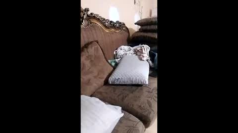 Snapshot of bxpapi69 chatting on December 13, 10:26 pm bxpapi69 online show from December 13, 10:26 pm