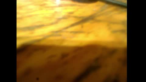 bzxxbzh online show from February 15, 4:14 pm