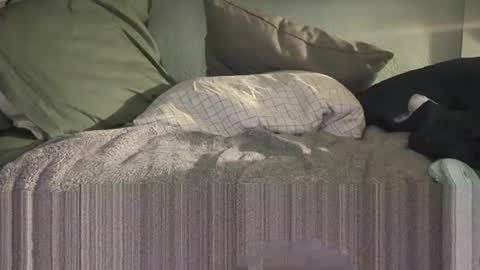 1DontR3member online show from January 14, 8:53 am