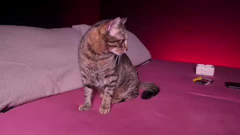 CQ online show from February 24, 7:44 am