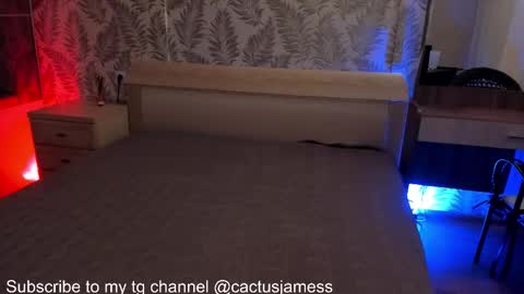 Snapshot of cactusjames_69 chatting on October 15, 11:05 pm James online show from October 15, 11:05 pm