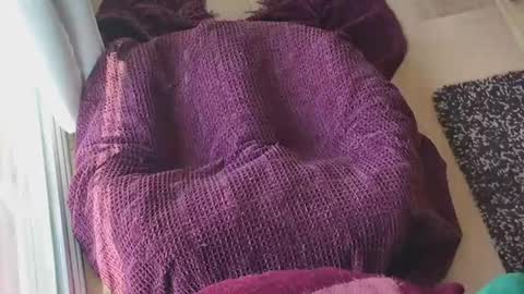 Caked Up online show from March 24, 12:26 am