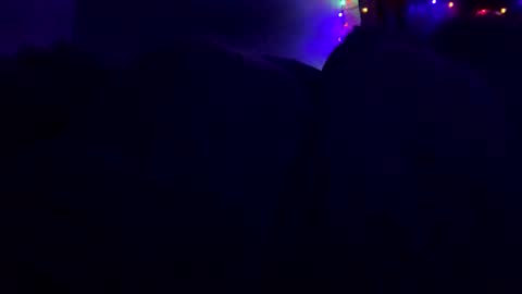 calishop1 online show from February 9, 7:05 am