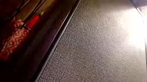 cameonu online show from January 12, 5:56 am