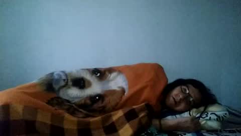 Snapshot of cameron_puppy chatting on February 5, 11:34 am Mara Catalina Romero Ordez online show from February 5, 11:34 am