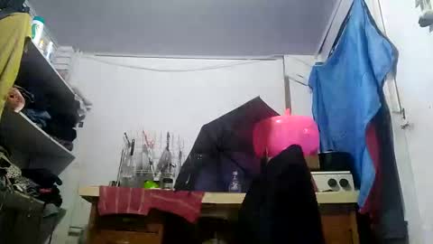 Snapshot of cameron_puppy chatting on March 7, 5:08 am Mara Catalina Romero Ordez online show from March 7, 5:08 am