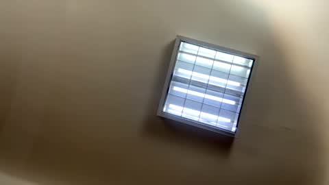 CameronStar online show from December 13, 8:15 pm