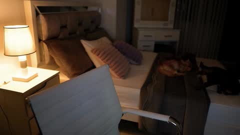 Snapshot of camila_buitrago chatting on November 18, 11:37 pm Camila buitrago online show from November 18, 11:37 pm