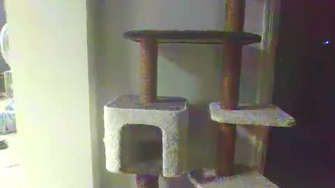 cammyman6900 online show from November 20, 4:34 am