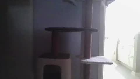 cammyman6900 online show from November 21, 4:22 am