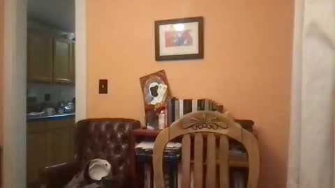 Snapshot of camunity chatting on March 29, 3:39 am camunity online show from March 29, 3:39 am