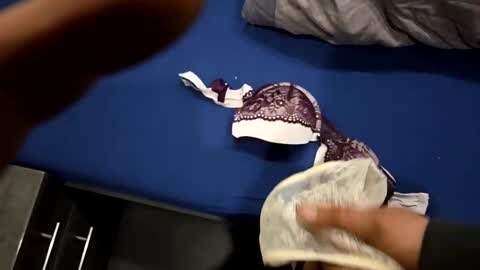 capoo24 online show from October 28, 10:08 am