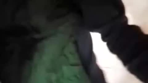 Snapshot of capri34 chatting on September 21, 7:48 pm capri34 online show from September 21, 7:48 pm