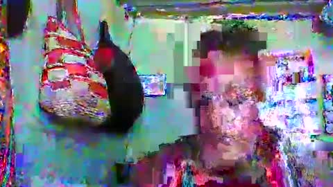 Snapshot of carinesexy69 chatting on January 20, 10:40 am carinesexy69 online show from January 20, 10:40 am