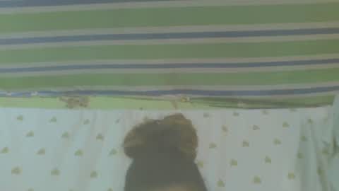 Snapshot of carinesexy69 chatting on October 31, 10:16 am carinesexy69 online show from October 31, 10:16 am