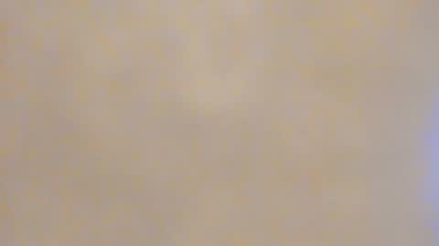 Snapshot of carliescott_meow chatting on January 23, 4:19 am Carlie online show from January 23, 4:19 am