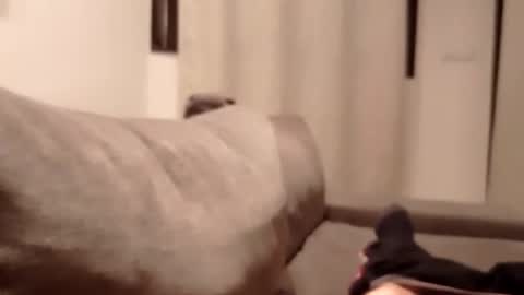 carlitito1 online show from October 30, 5:35 pm