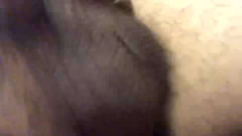 carlitos34m906127 online show from February 17, 10:56 am