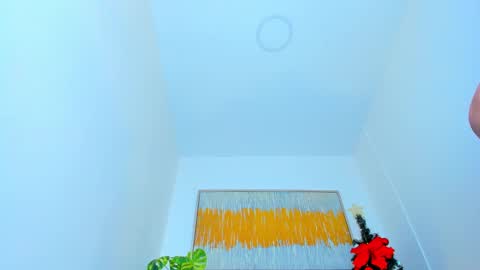 Snapshot of carlota_peach chatting on January 8, 3:17 pm Andrea online show from January 8, 3:17 pm