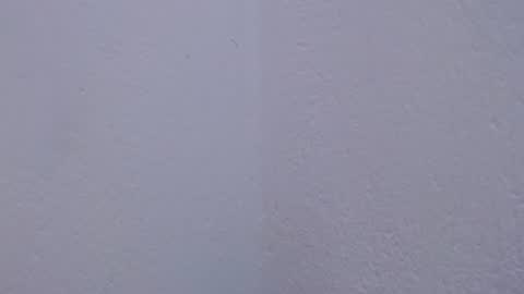 carolina_zabala_19 online show from July 18, 5:06 pm