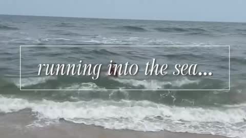 carrie madsin online show from April 12, 6:24 pm