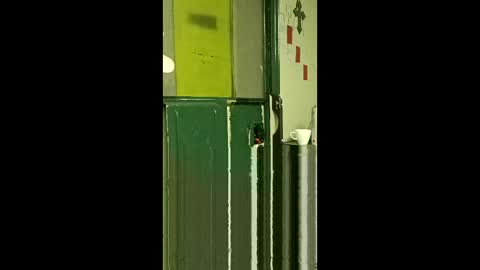 carrilloeverardo219 online show from March 25, 7:58 am