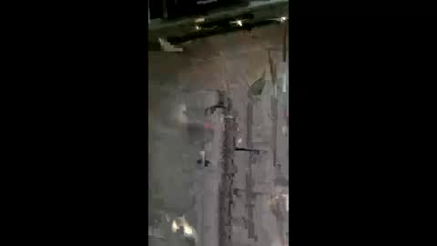 carrilloeverardo219 online show from May 24, 7:13 am