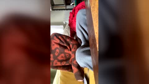 carrrigggg online show from March 3, 9:15 am