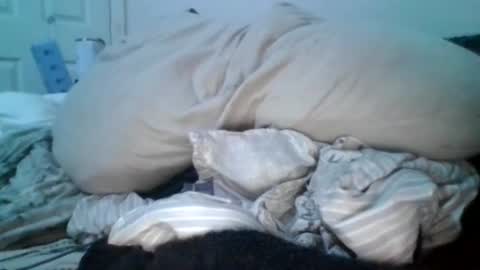 Snapshot of carvelj chatting on June 16, 7:33 am carvelj online show from June 16, 7:33 am
