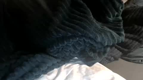 Snapshot of cassandra06400 chatting on November 1, 12:29 pm cassandra06400 online show from November 1, 12:29 pm