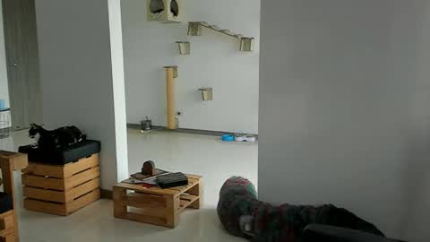 Snapshot of cassjimenez chatting on March 22, 11:57 am Cassandra online show from March 22, 11:57 am