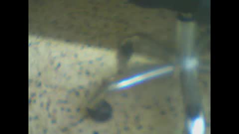 castells online show from March 24, 5:18 pm