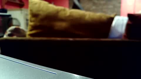 Snapshot of castration40 chatting on October 17, 8:39 am castration40 online show from October 17, 8:39 am