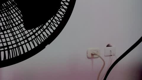 catalaia_stomm online show from January 17, 1:24 pm