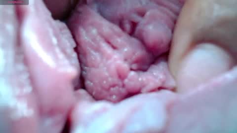 Catherina   online show from April 30, 8:15 pm