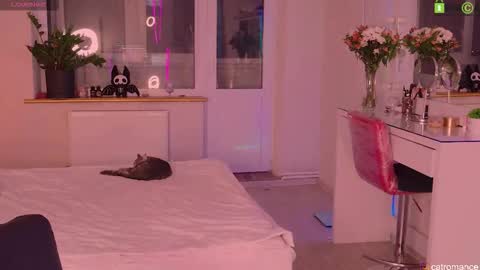 Snapshot of catromance chatting on November 21, 8:40 pm Katerina online show from November 21, 8:40 pm