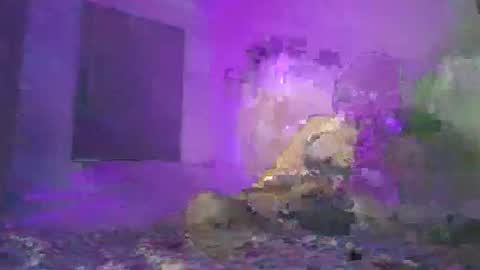 Snapshot of cazrus chatting on February 24, 2:48 pm cazrus online show from February 24, 2:48 pm