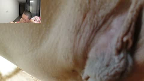 Snapshot of cbz112233 chatting on June 25, 2:54 pm ANNYANNY online show from June 25, 2:54 pm