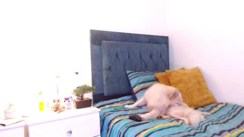 Cedrixx10 online show from December 16, 9:31 pm