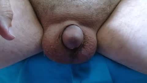 cefalu online show from October 28, 5:59 pm