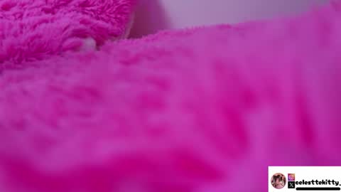 Snapshot of celestte_evans_1 chatting on January 18, 6:17 am celestte_evans_1 online show from January 18, 6:17 am