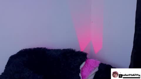 Snapshot of celestte_evans_1 chatting on February 8, 6:17 am celestte_evans_1 online show from February 8, 6:17 am