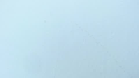 celiani_caleb online show from November 3, 3:08 am