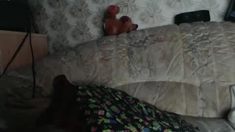 chacoa online show from January 18, 12:09 pm